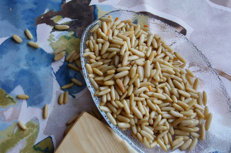 orzech piniowy.JPG