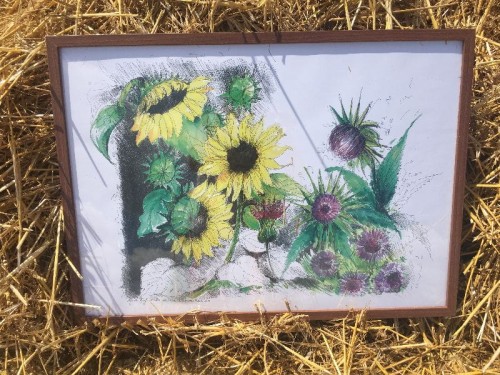 Sloneczniki i ostropest.JPG