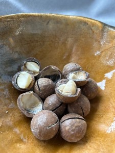 Orzechy macadamia w łupinie prażone solone - RPA