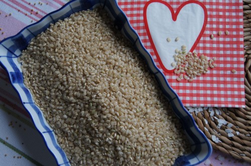 4724811dc95bd23f0745487907e58a29b149e76f